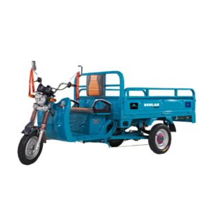 Cargo Electric Bike