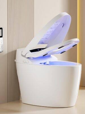 Smart WC – Intelligent Smart Toilet